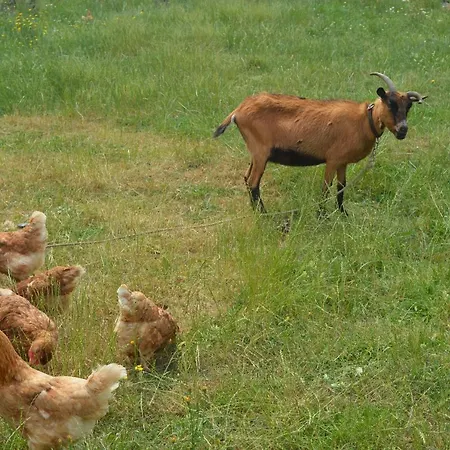 Detente Et Confort - Baie Bocage Sartilly-Baie-Bocage