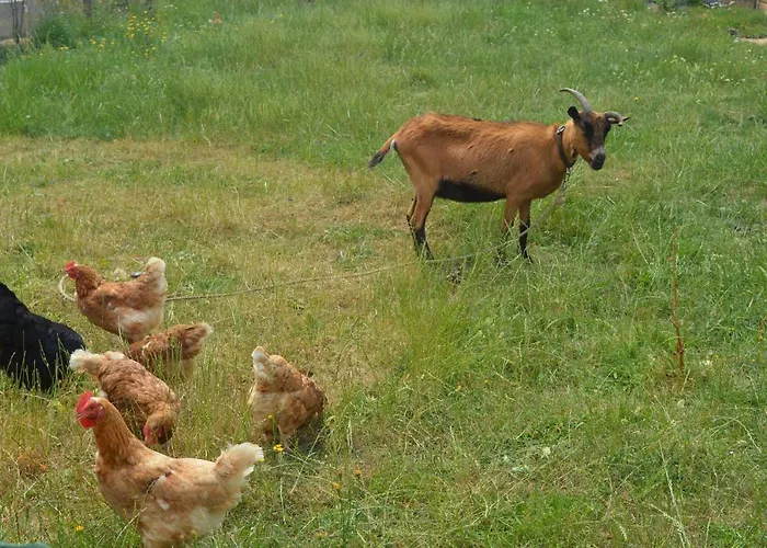 Detente Et Confort - Baie Bocage Sartilly-Baie-Bocage